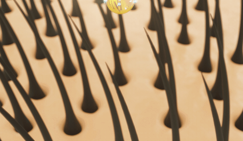 jop-505-164_s24.gif