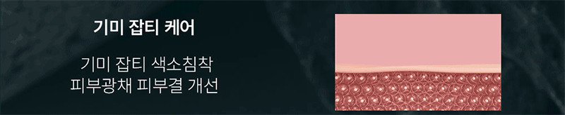 kaa-502-385_s6.gif
