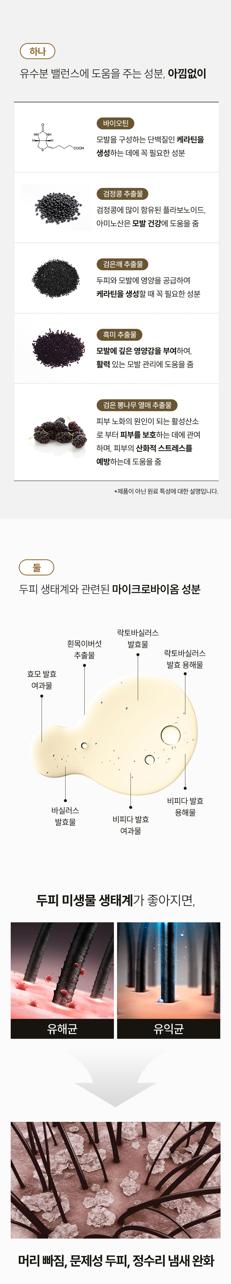 kaa-502-392_s3.jpg