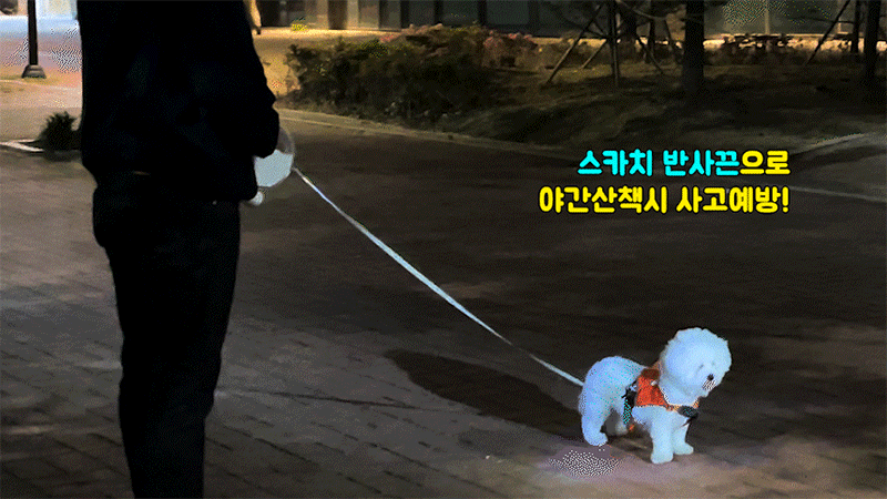 kaa-502-416_s7.gif