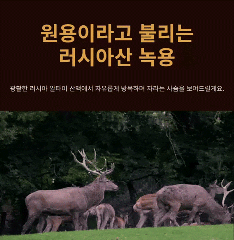 kap-507-591_s2.gif