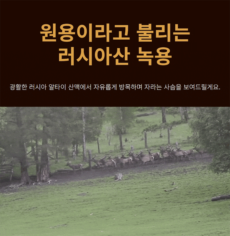 kap-507-591_s4.gif