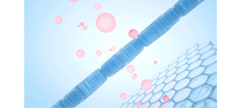 kata-503-927_s2.gif