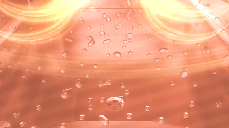 kata-503-938_s16.gif
