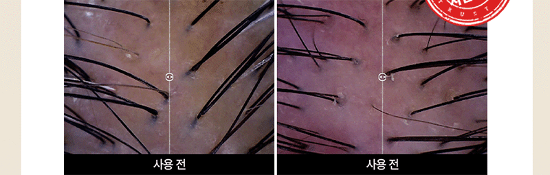 koo-604-016_s4.gif