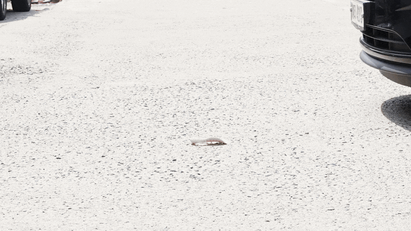 kop-605-078_s14.gif