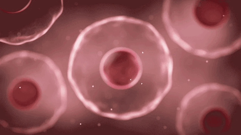 kpo-606-134_s4.gif