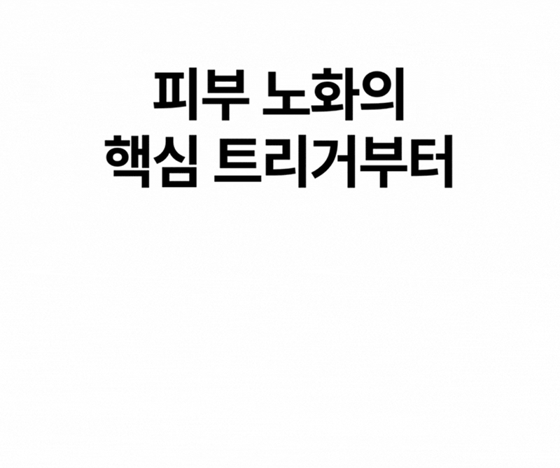 kpo-606-704_s4.gif