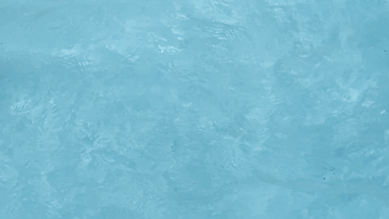 kpo-606-918_s8.gif