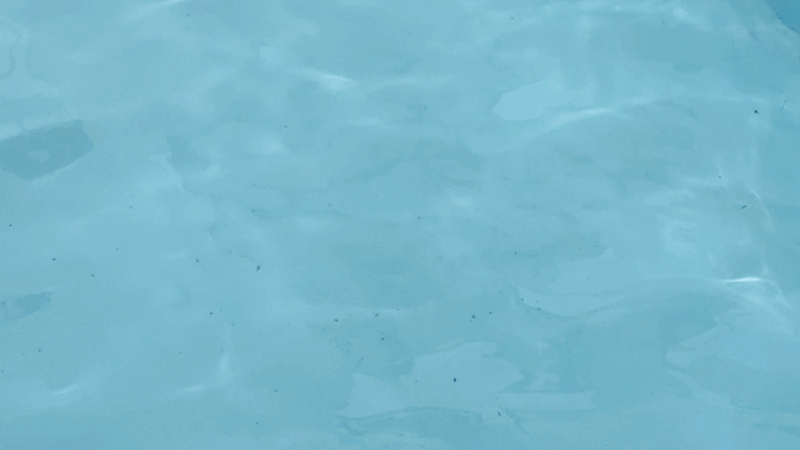 kpo-606-963_s8.gif