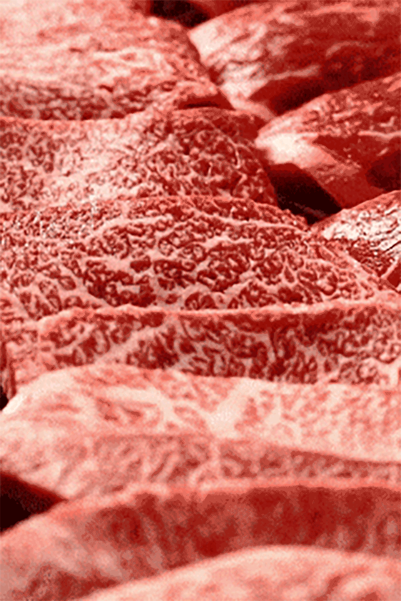 kps-607-241_s10.gif